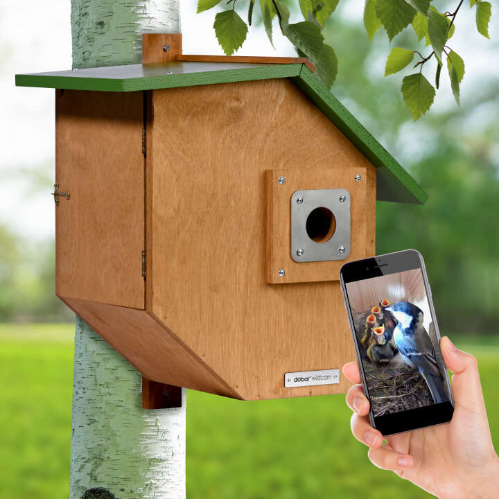 dobar Großer Nistkasten Flachdach Brunhilde